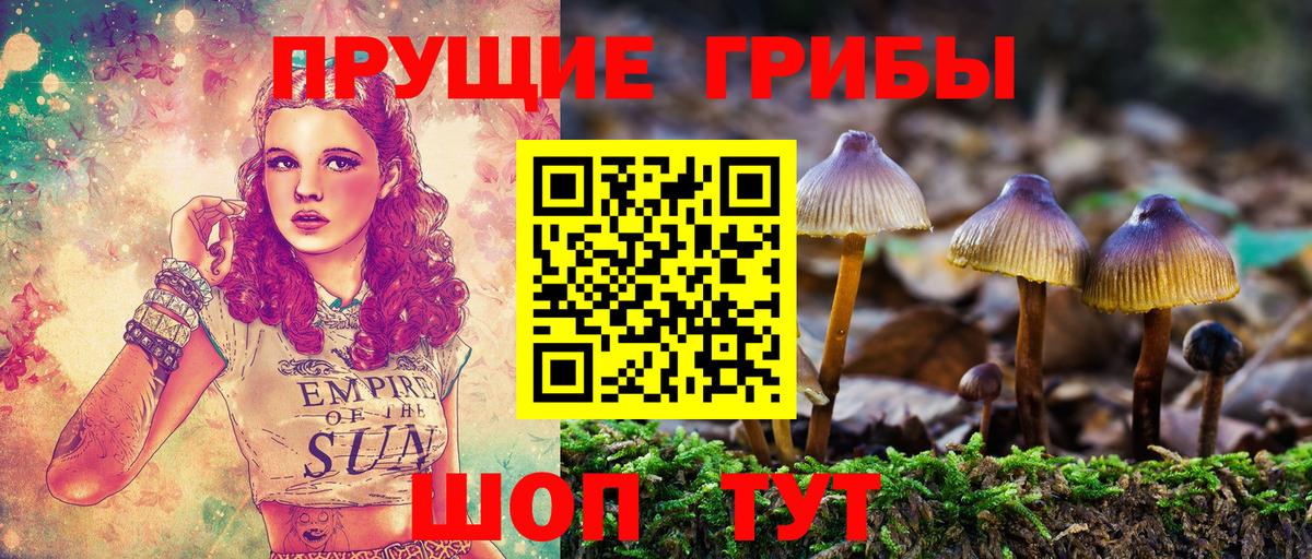 Галлюциногенные грибы ЛСД Златоуст