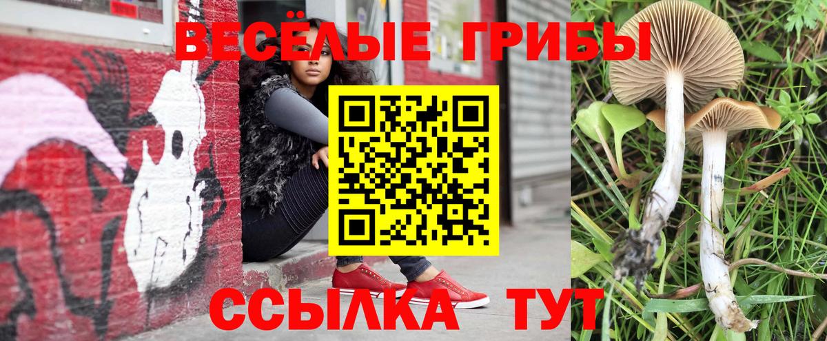 Златоуст  Галлюциногенные грибы ЛСД  Вход с VPN 